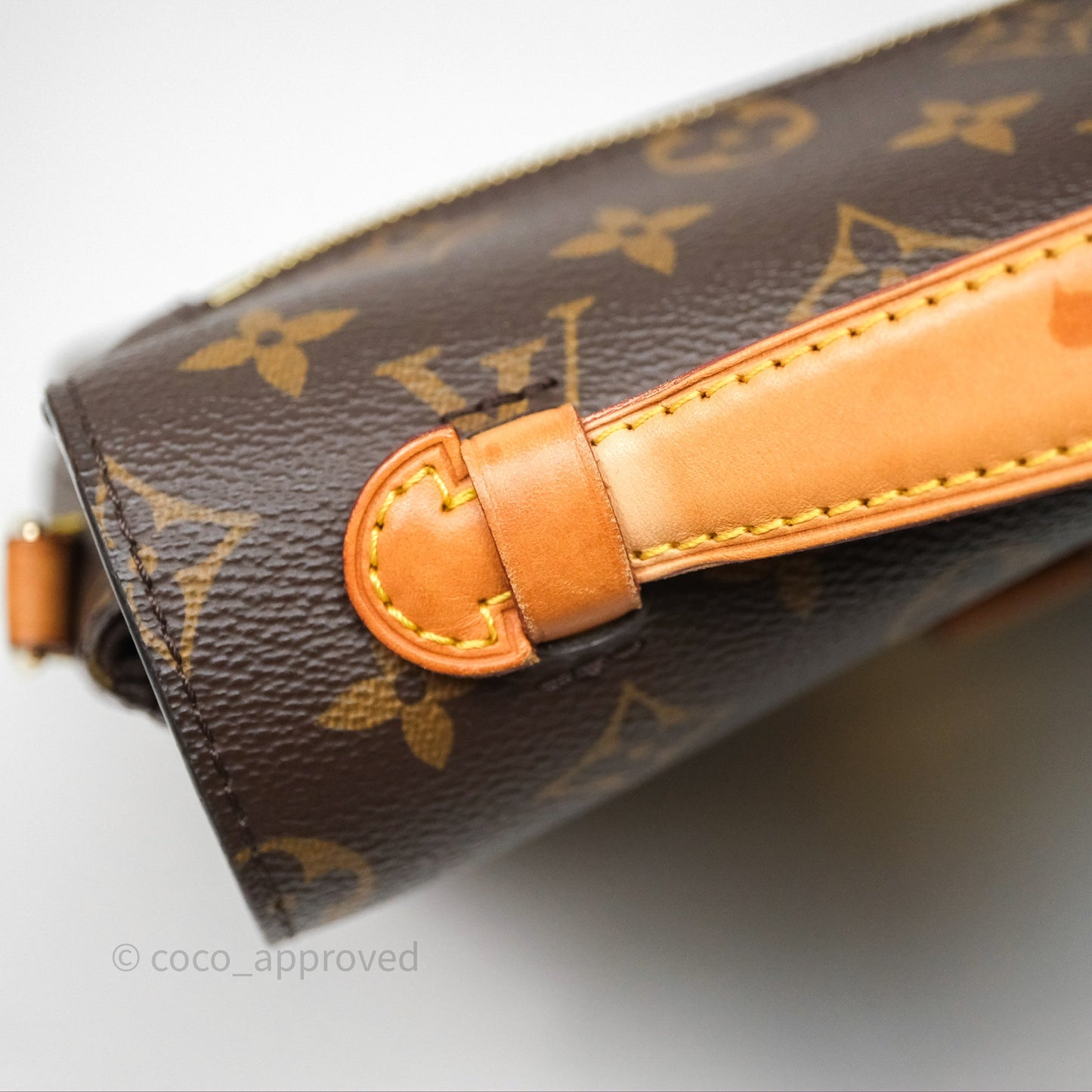 Louis Vuitton Pochette Metis Monogram