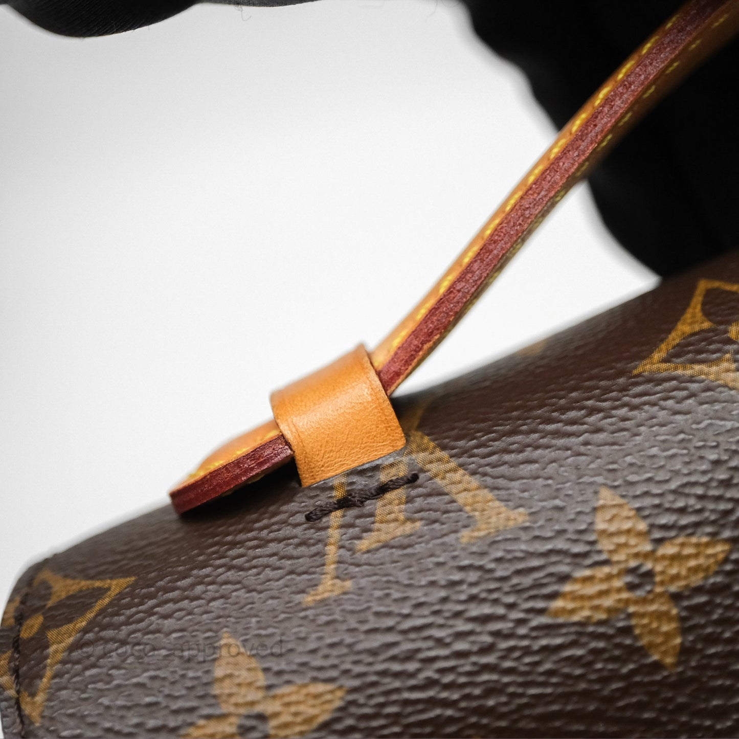 Louis Vuitton Pochette Metis Monogram