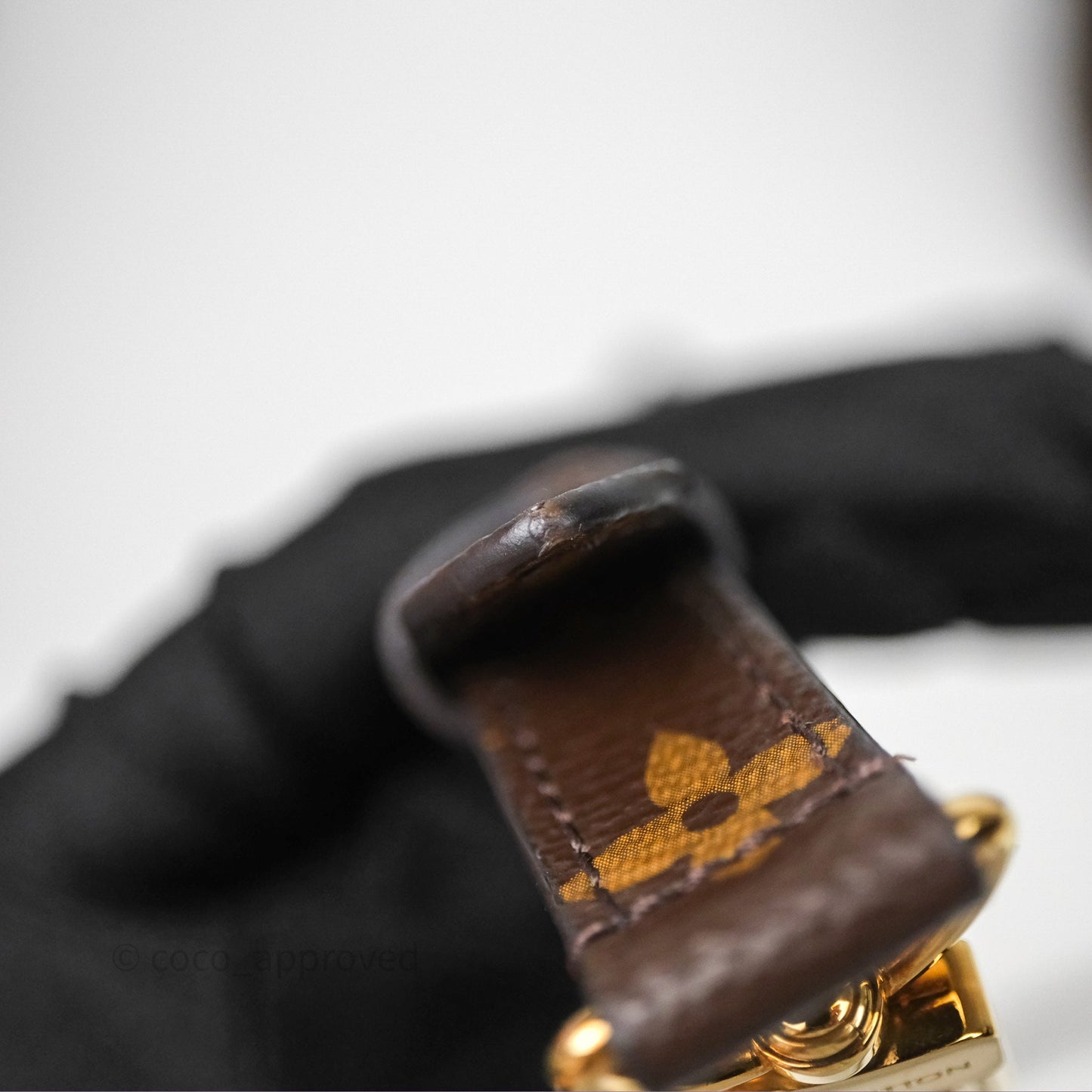 Louis Vuitton Pochette Metis Monogram