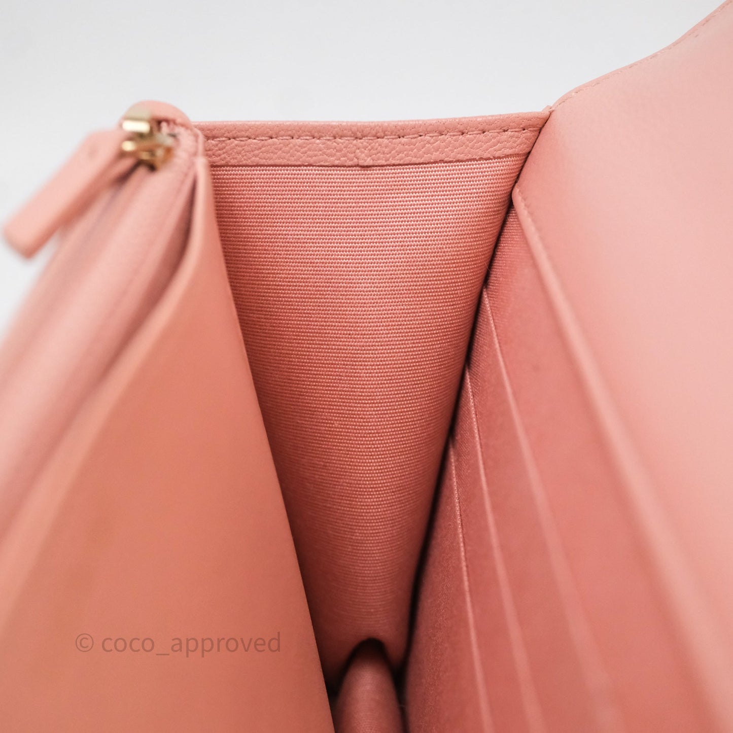Chanel 19 Wallet on Chain WOC Light Pink Mixed Hardware
