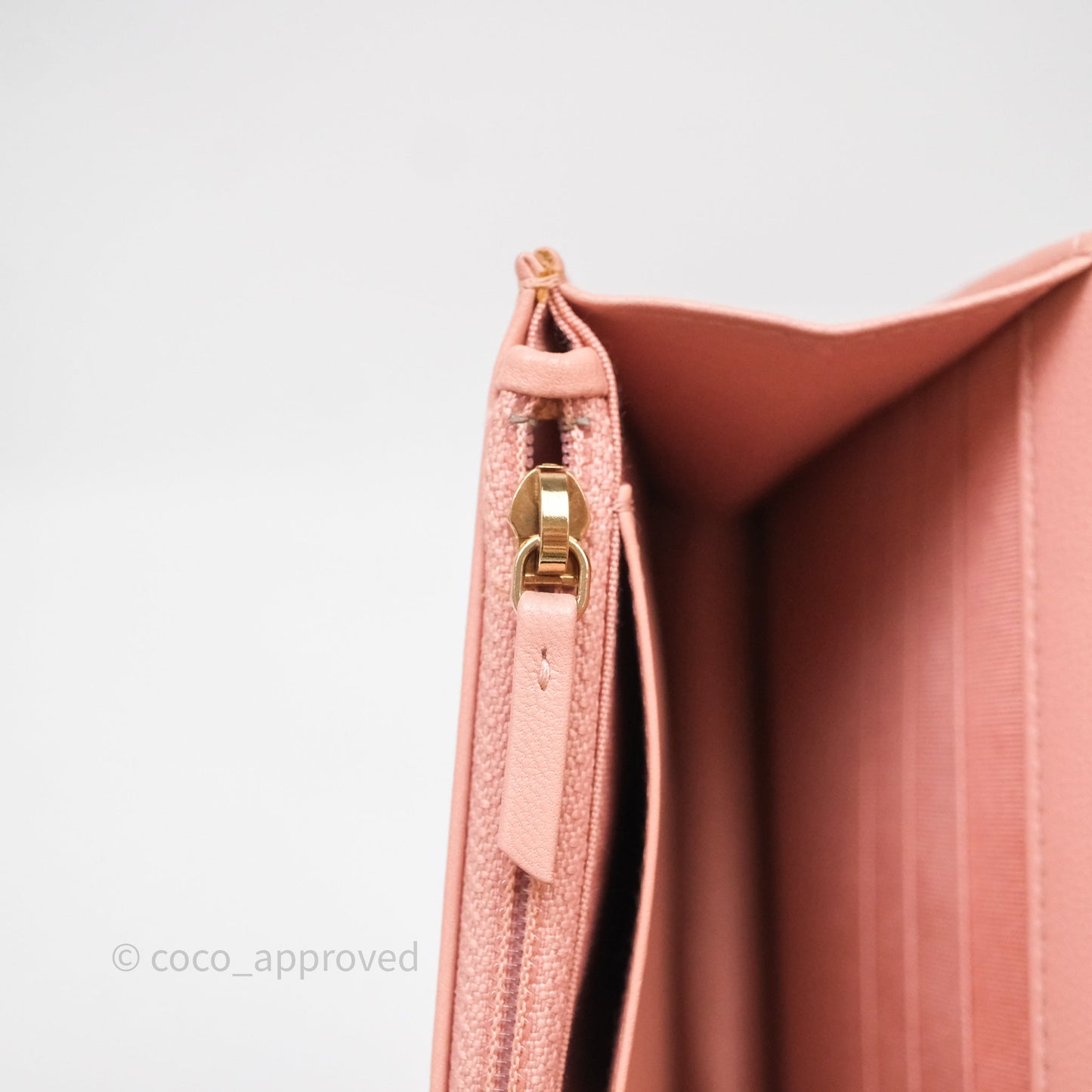 Chanel 19 Wallet on Chain WOC Light Pink Mixed Hardware
