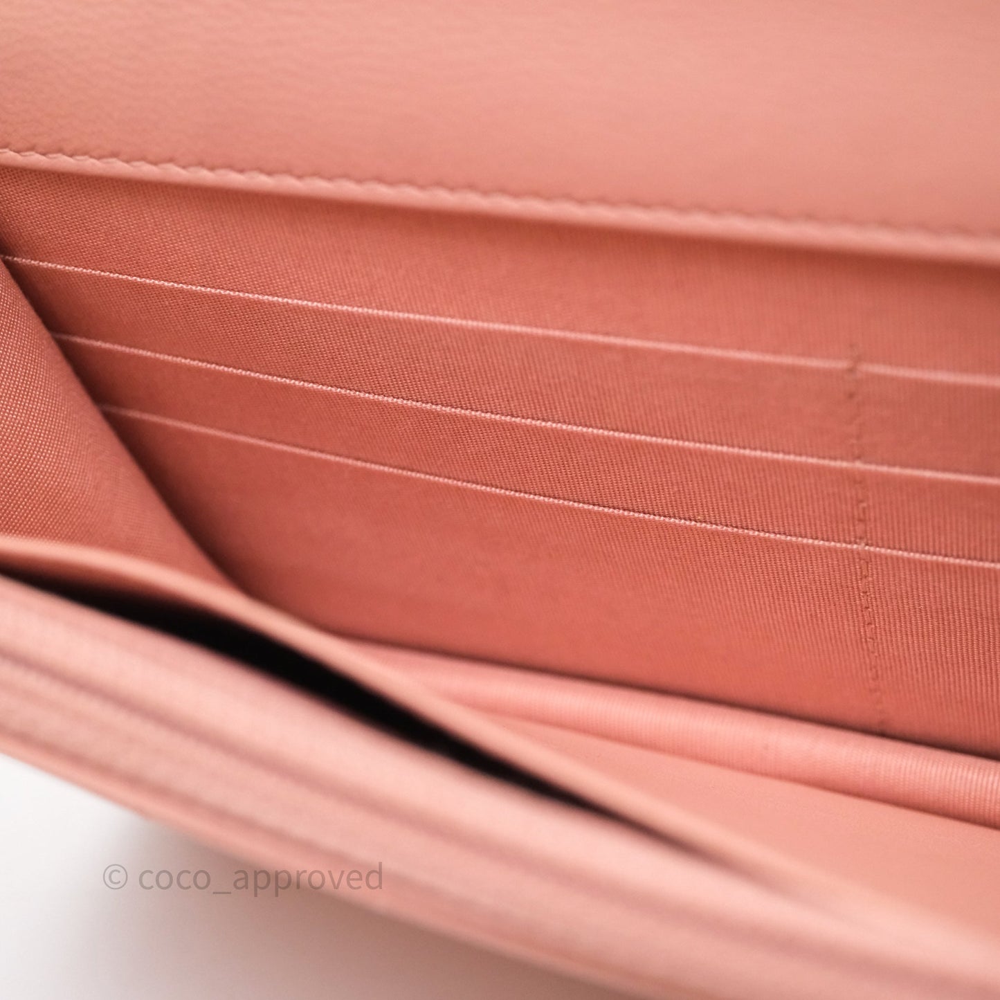 Chanel 19 Wallet on Chain WOC Light Pink Mixed Hardware