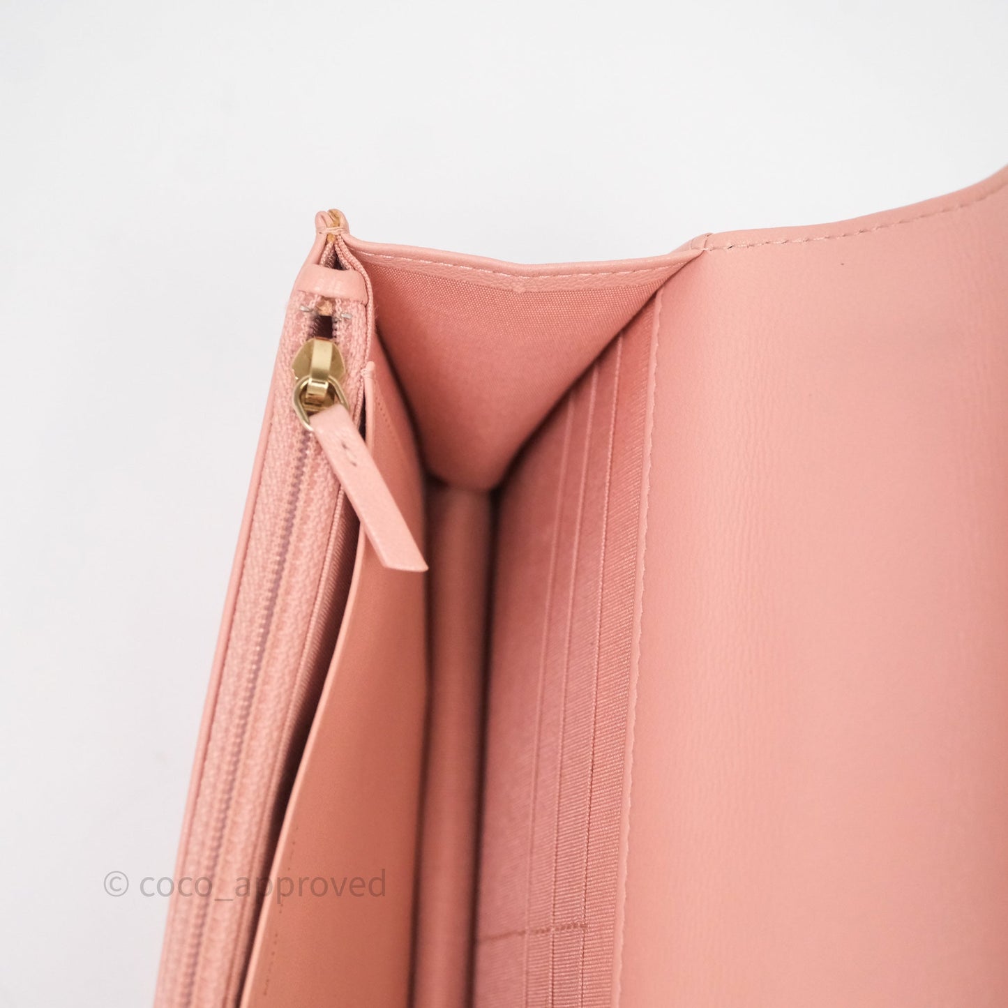 Chanel 19 Wallet on Chain WOC Light Pink Mixed Hardware