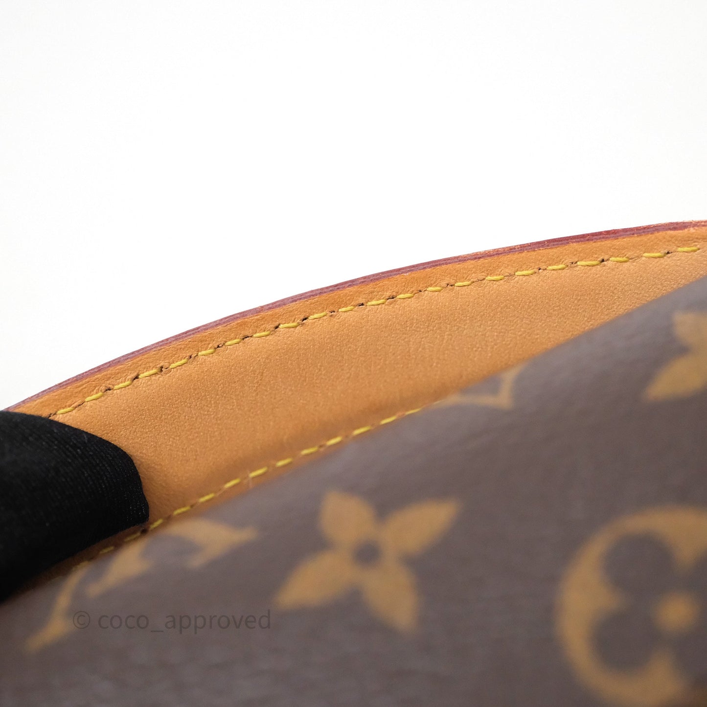 Louis Vuitton Pochette Metis Monogram
