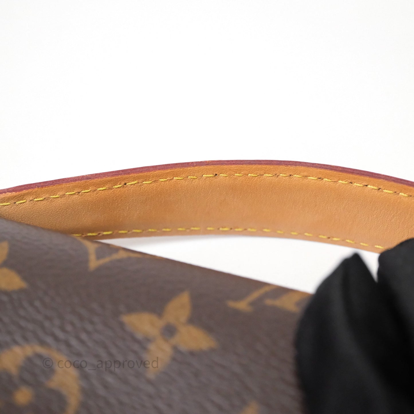 Louis Vuitton Pochette Metis Monogram