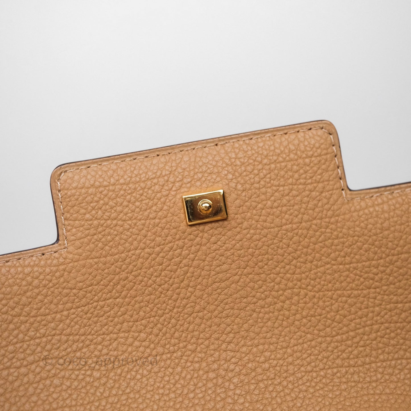 Delvaux Tempête Brown Supple Calfskin Gold Hardware