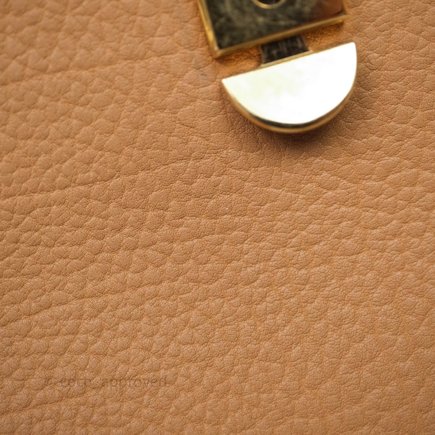Delvaux Tempête Brown Supple Calfskin Gold Hardware