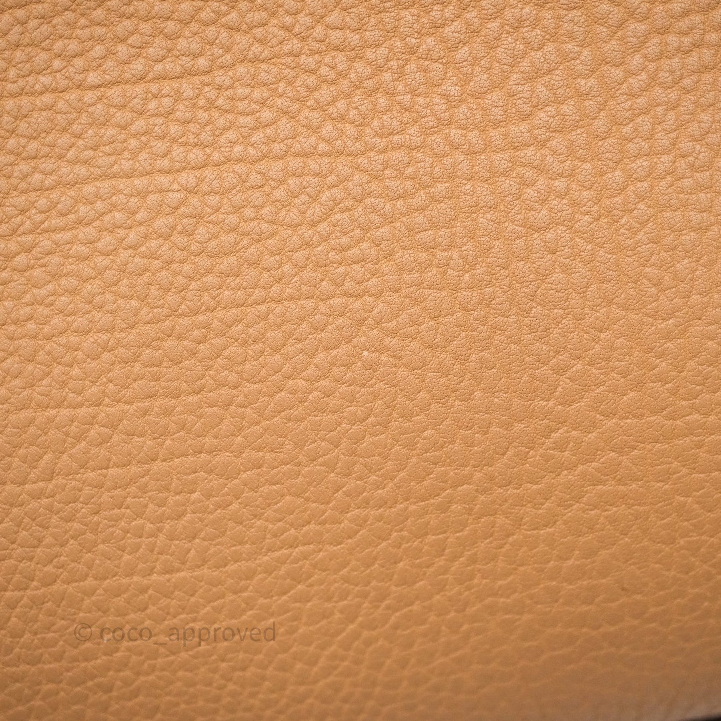 Delvaux Tempête Brown Supple Calfskin Gold Hardware