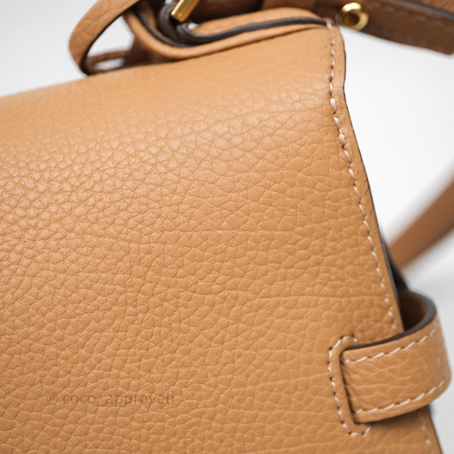 Delvaux Tempête Brown Supple Calfskin Gold Hardware