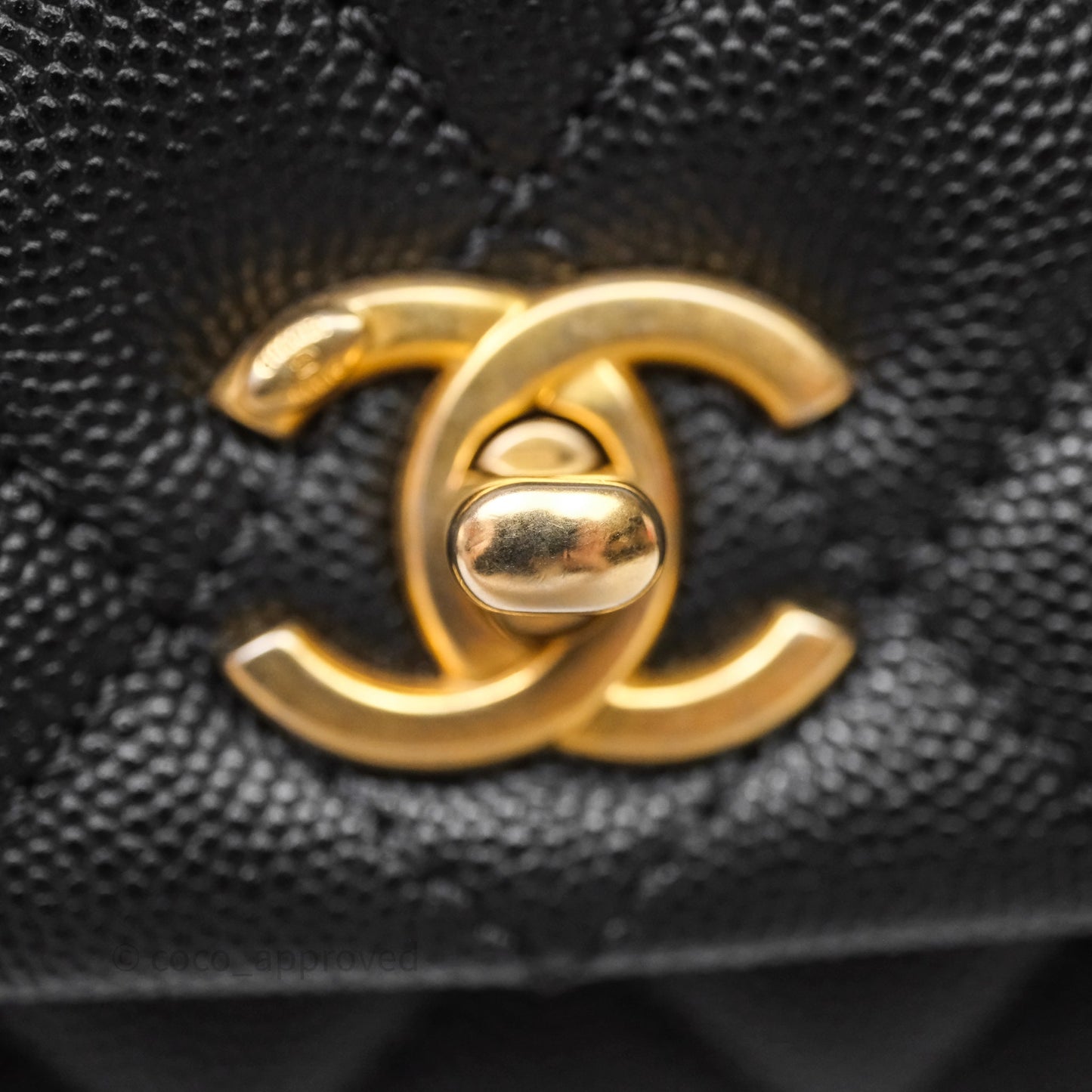 Chanel Small Coco Handle Quilted Black Caviar Aged Gold Hardware Lizard Handle