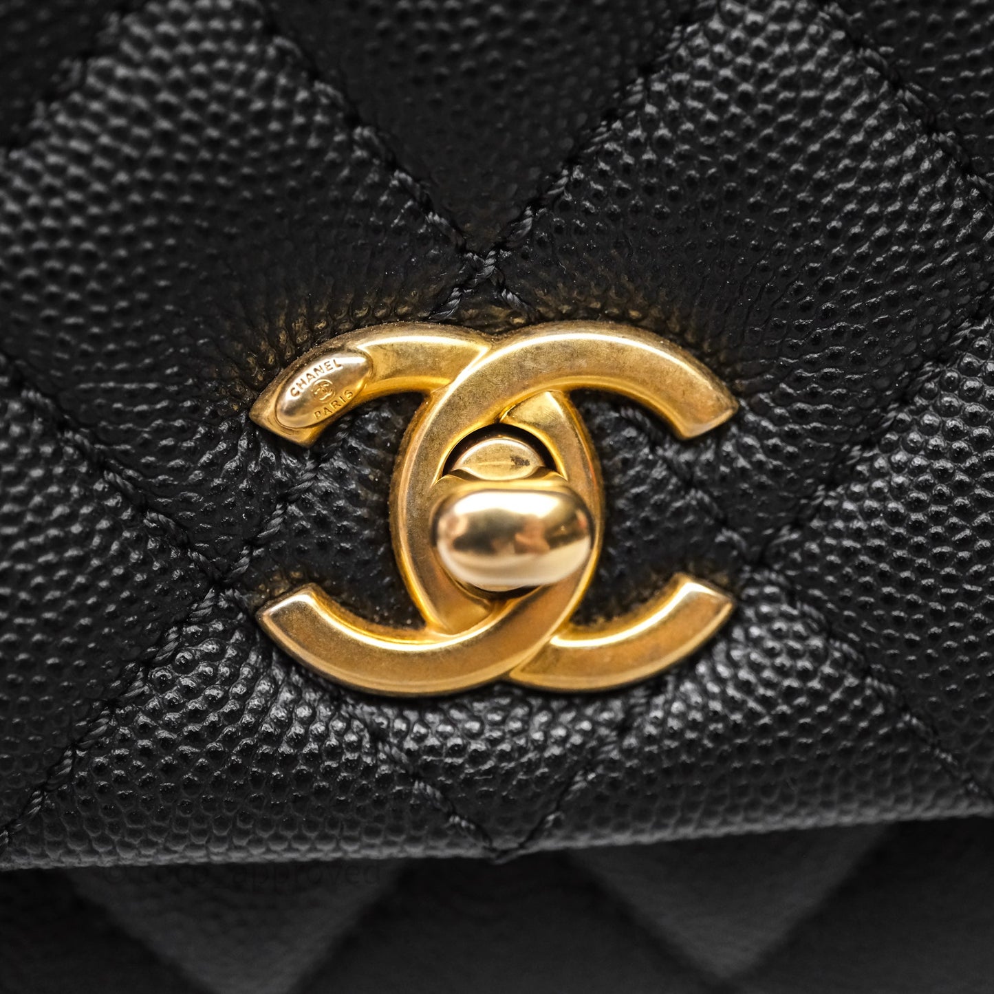 Chanel Small Coco Handle Quilted Black Caviar Aged Gold Hardware Lizard Handle
