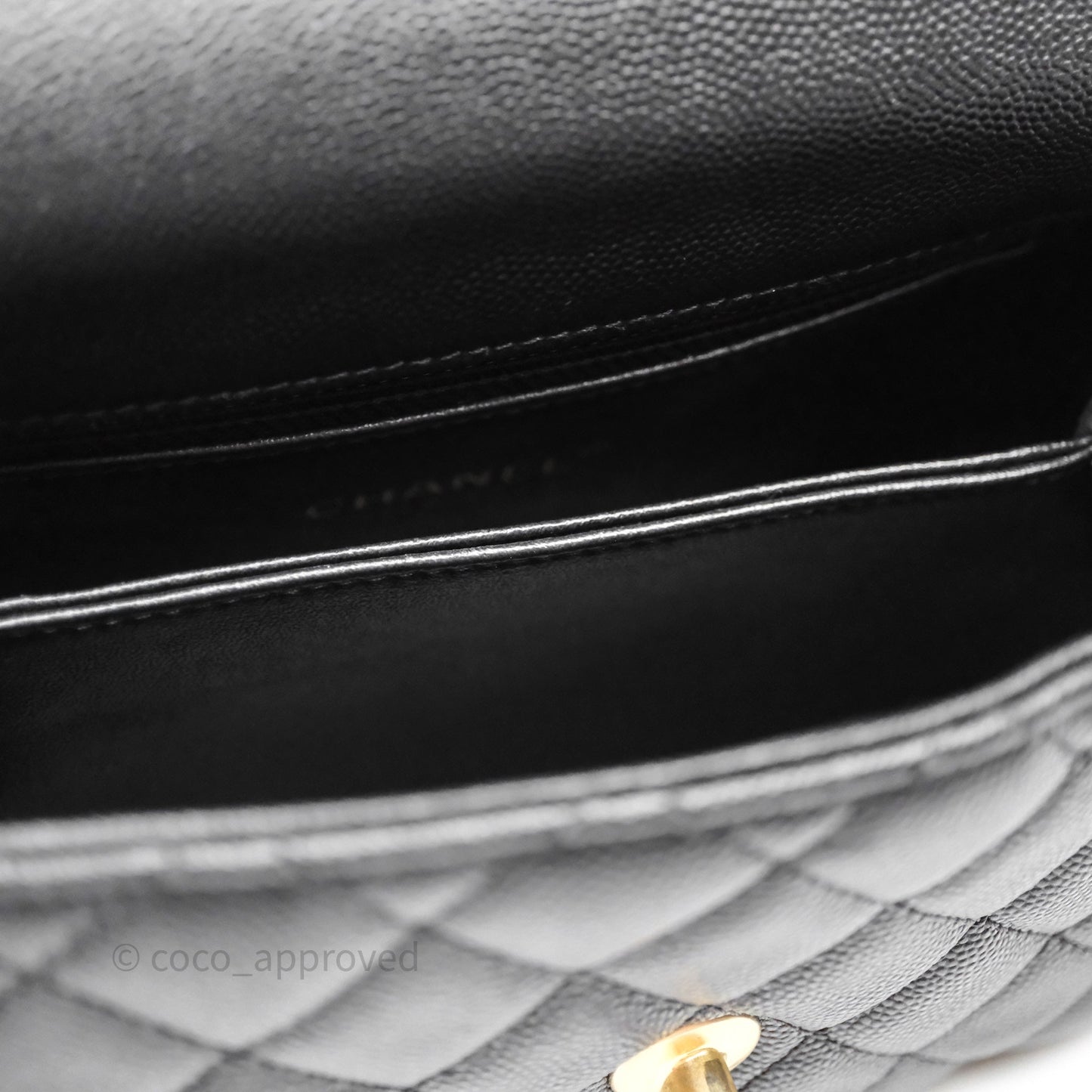 Chanel Small Coco Handle Quilted Black Caviar Aged Gold Hardware Lizard Handle