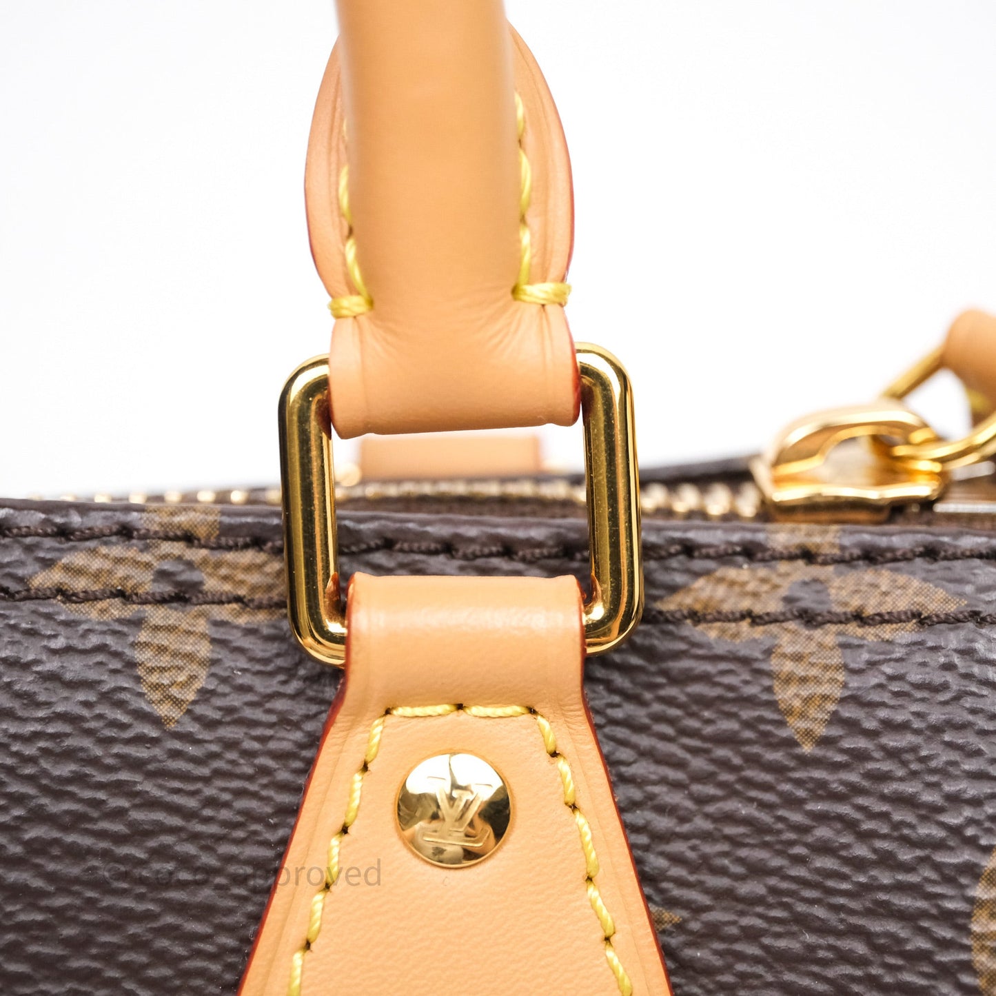 Louis Vuitton Nano Speedy Monogram