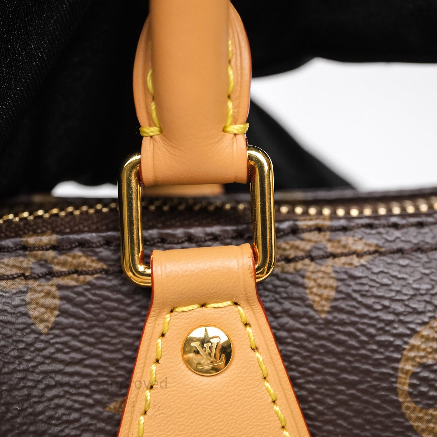 Louis Vuitton Nano Speedy Monogram