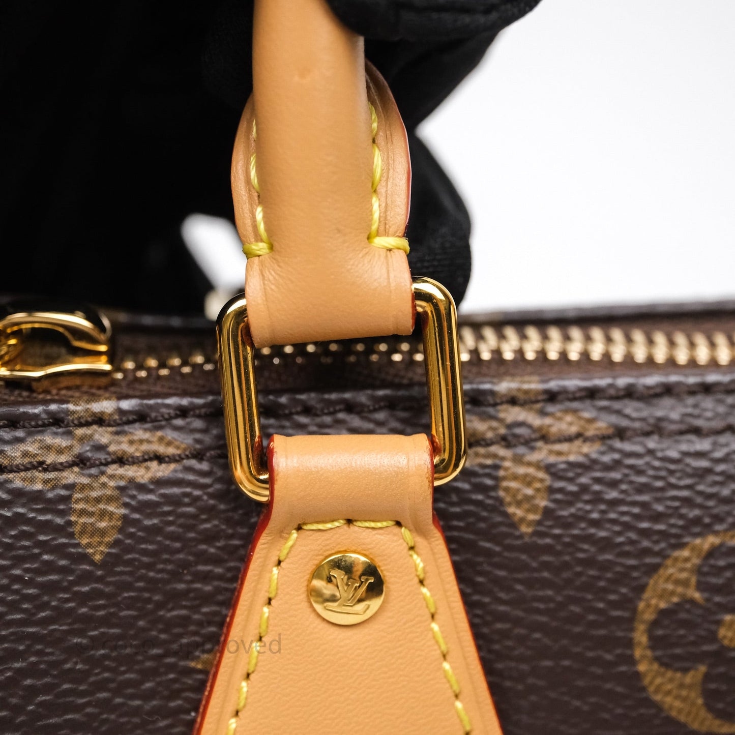 Louis Vuitton Nano Speedy Monogram