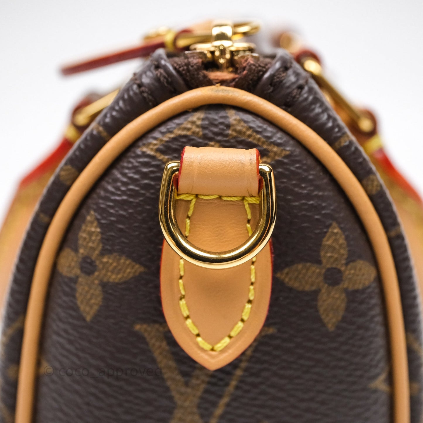 Louis Vuitton Nano Speedy Monogram