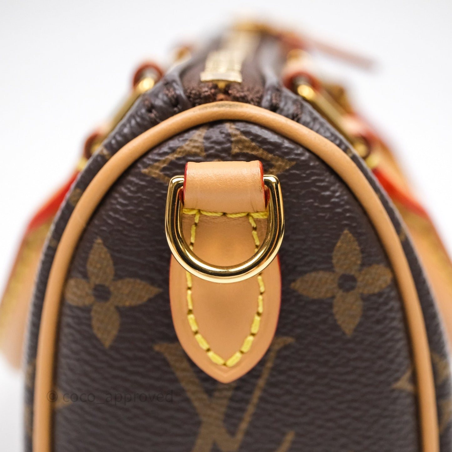 Louis Vuitton Nano Speedy Monogram