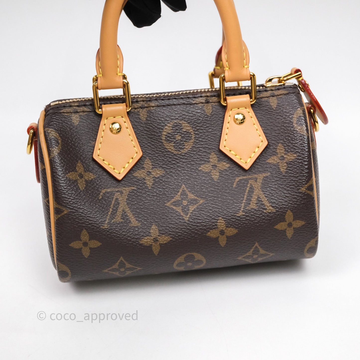 Louis Vuitton Nano Speedy Monogram