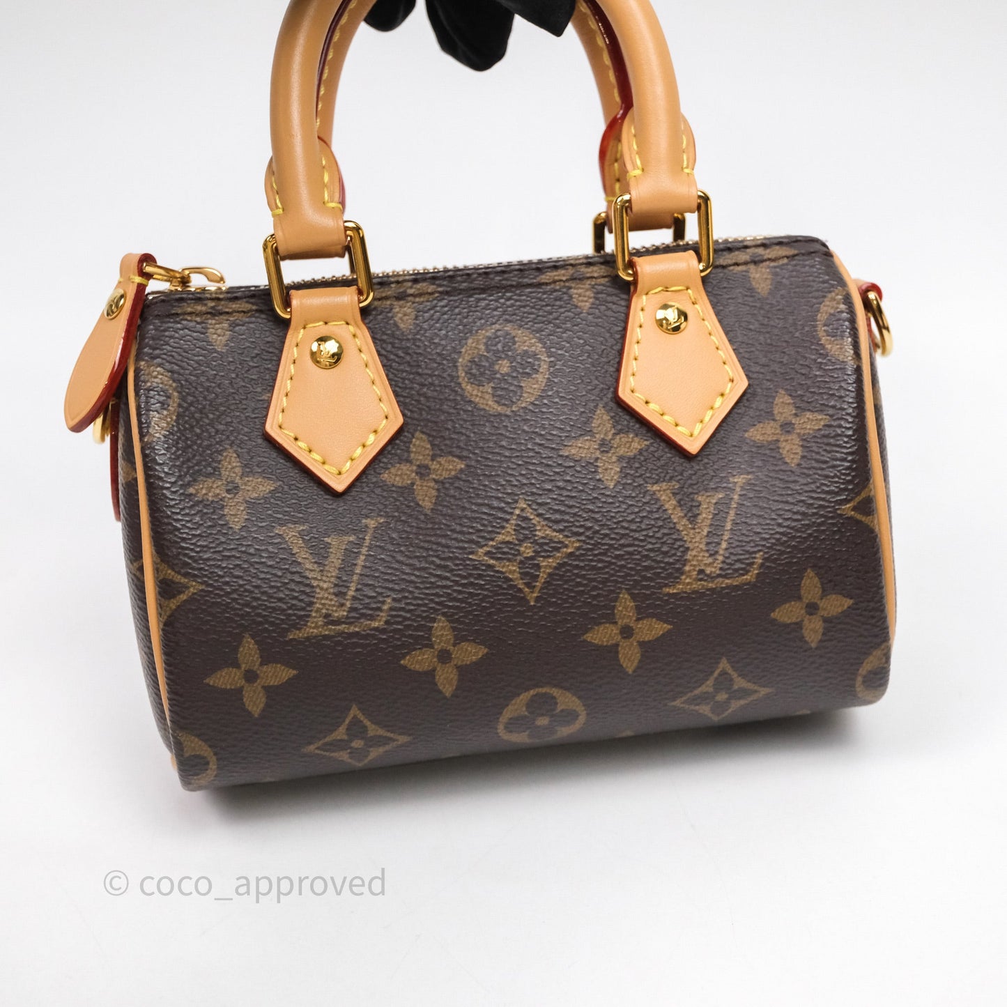 Louis Vuitton Nano Speedy Monogram