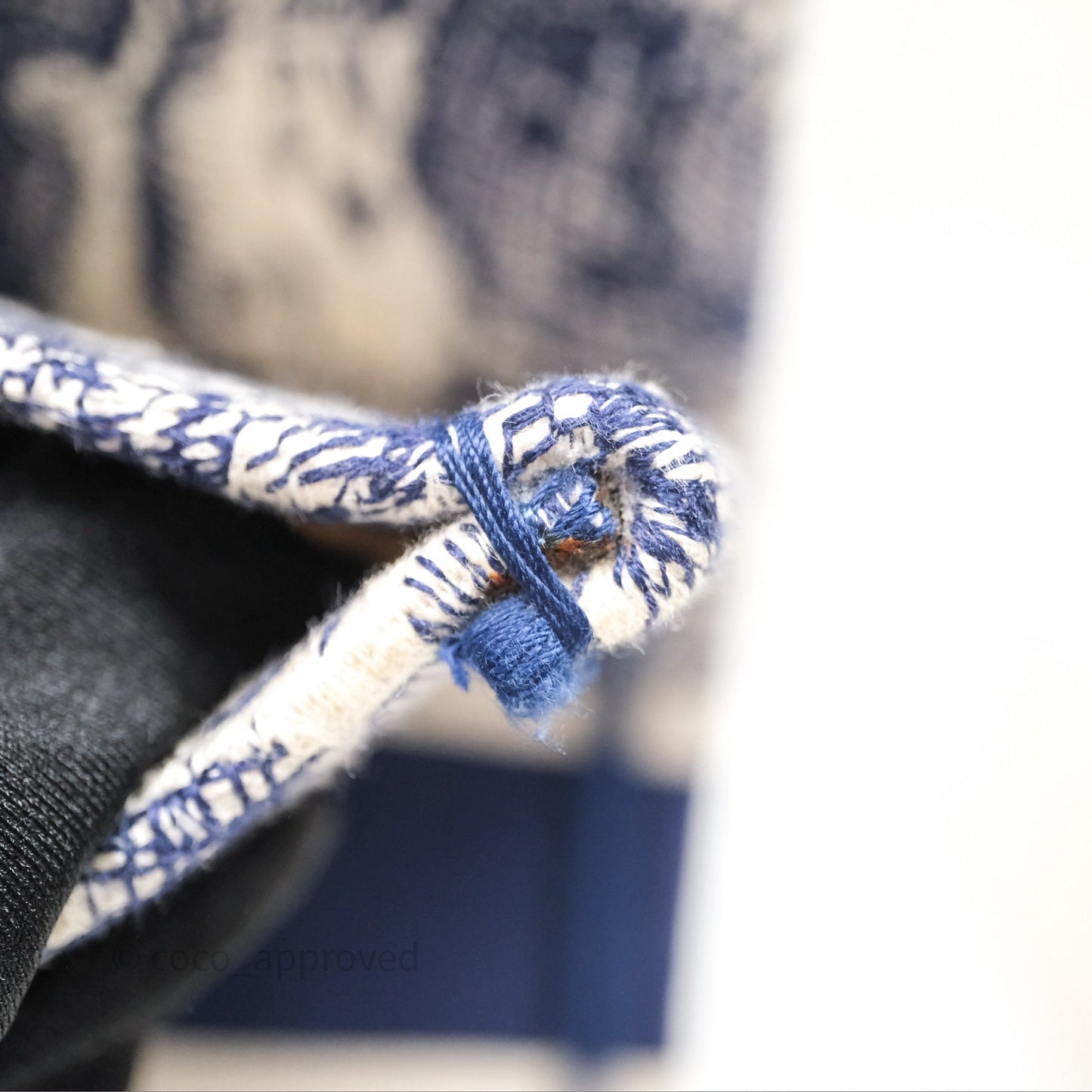 Christian Dior Medium (Old Small) Embroidered Toile De Jouy Canvas Book Tote Blue