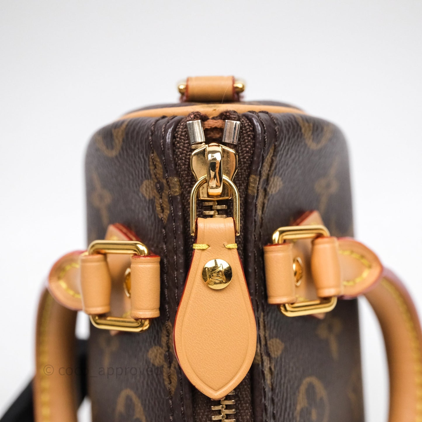 Louis Vuitton Nano Speedy Monogram