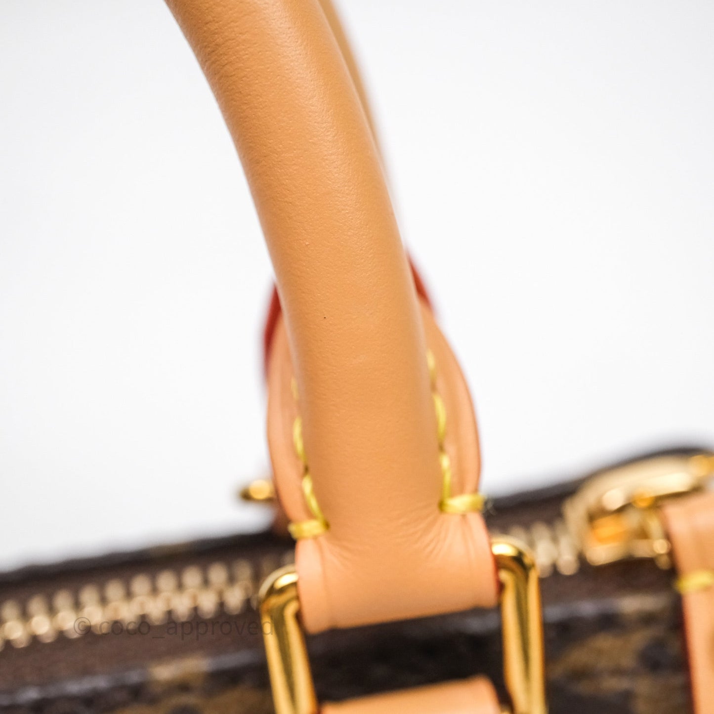 Louis Vuitton Nano Speedy Monogram