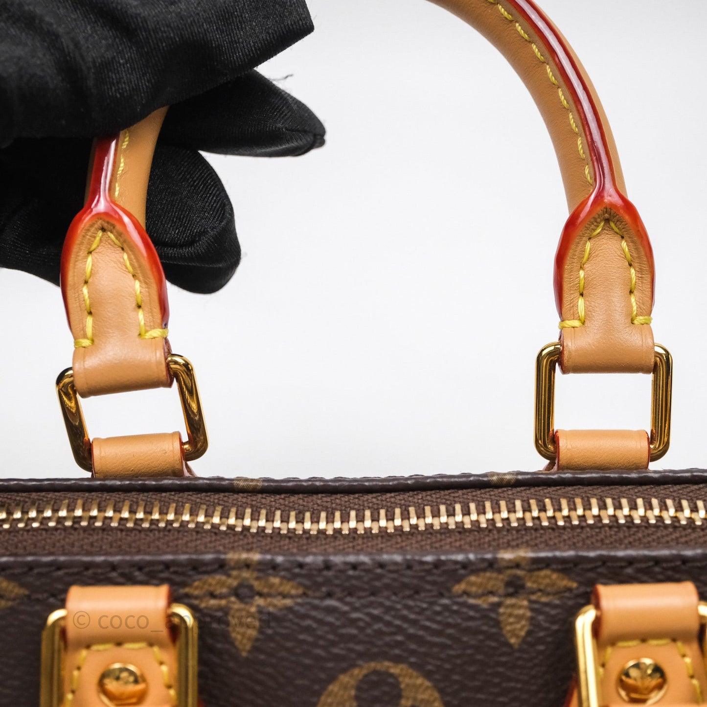 Louis Vuitton Nano Speedy Monogram