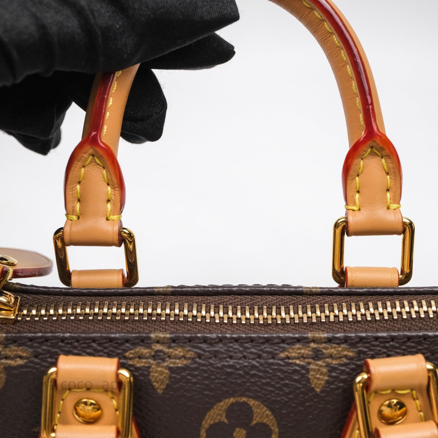 Louis Vuitton Nano Speedy Monogram