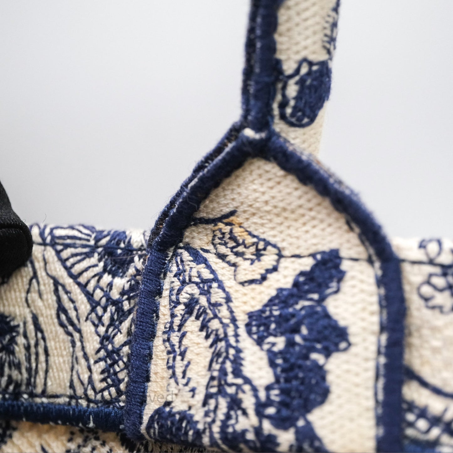 Christian Dior Medium (Old Small) Embroidered Toile De Jouy Canvas Book Tote Blue
