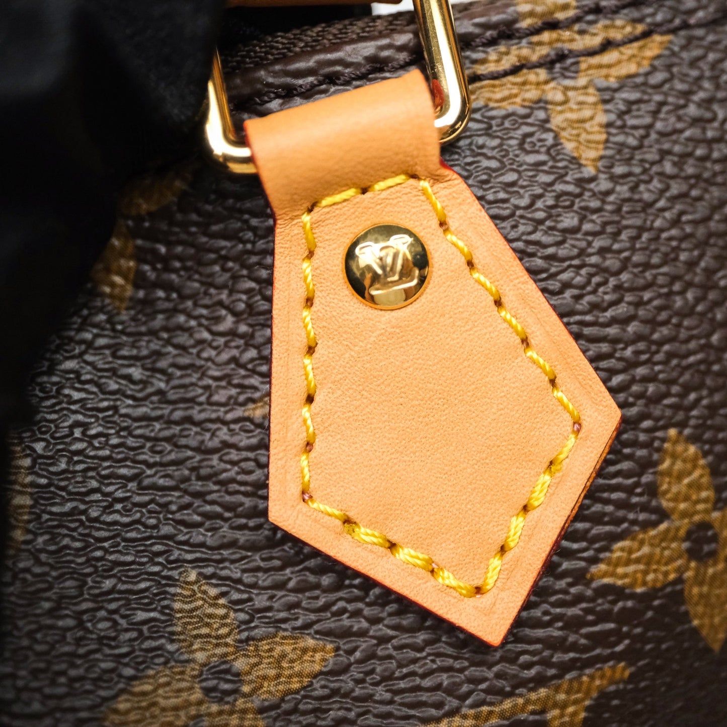 Louis Vuitton Nano Speedy Monogram Vivienne Christmas Edition