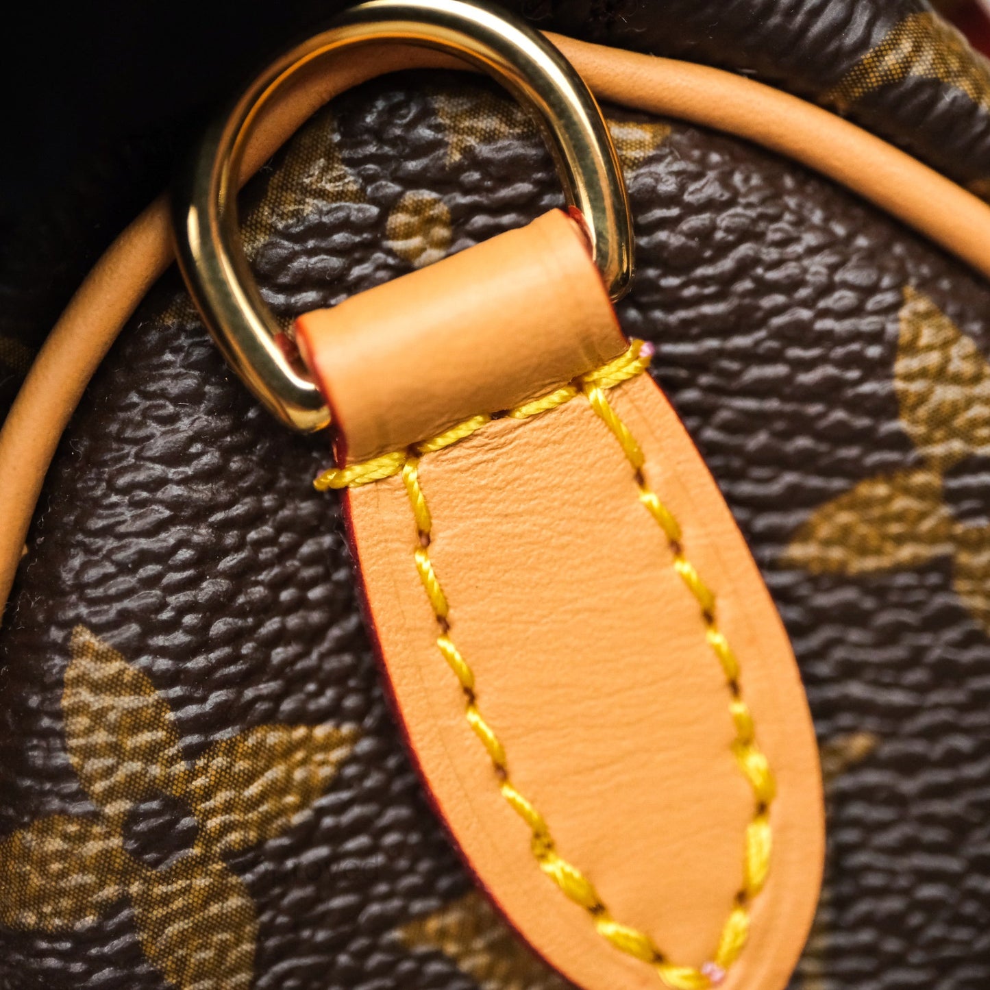 Louis Vuitton Nano Speedy Monogram Vivienne Christmas Edition