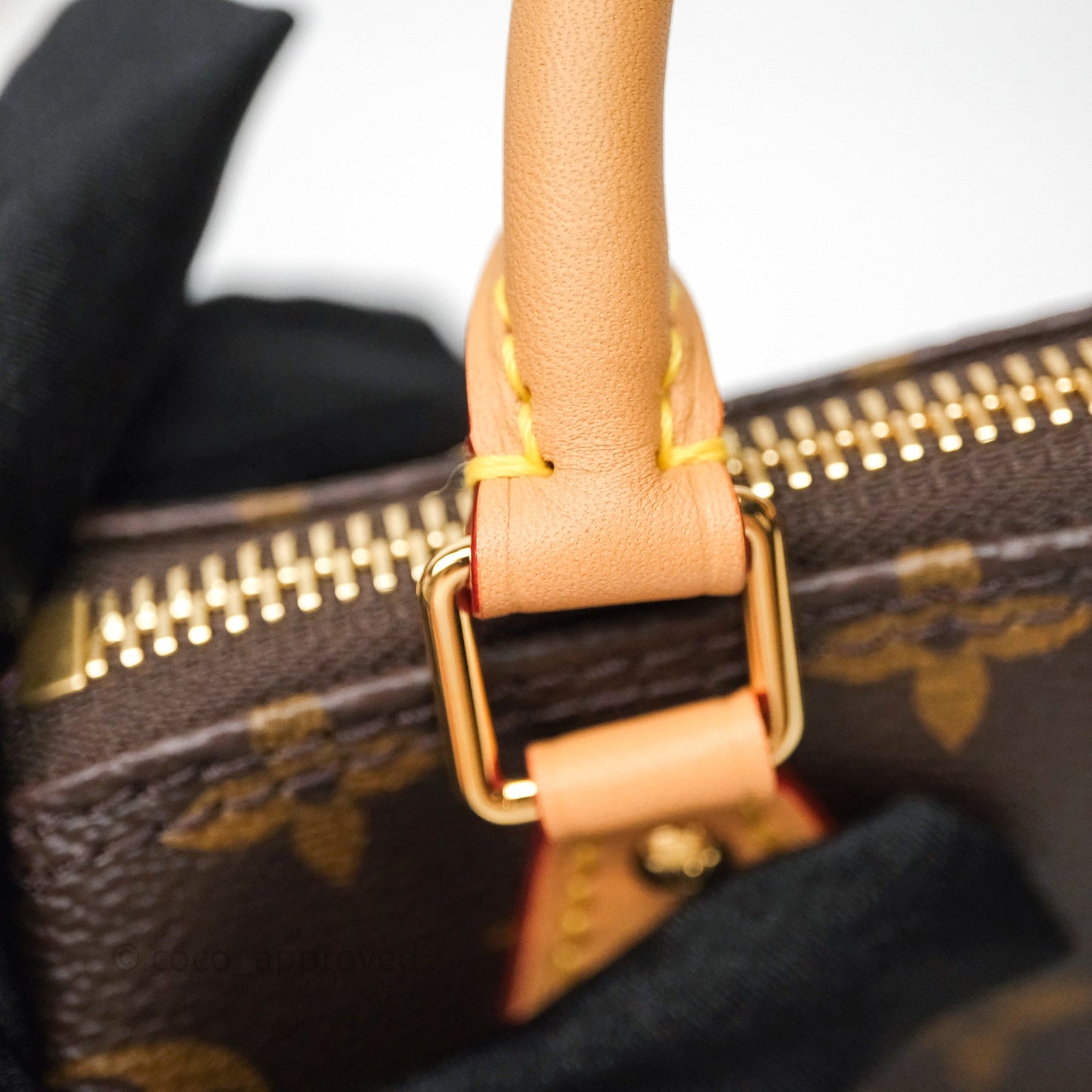 Louis Vuitton Nano Speedy Monogram Vivienne Christmas Edition