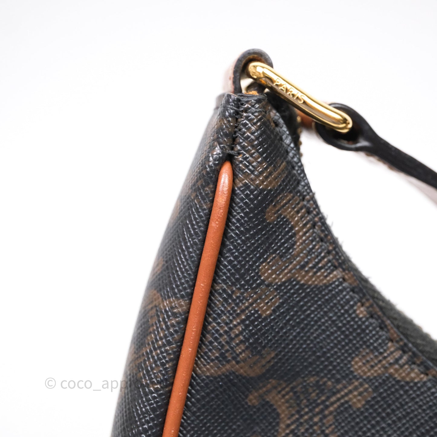 Celine Ava Bag In Triomphe Canvas Calfskin Tan