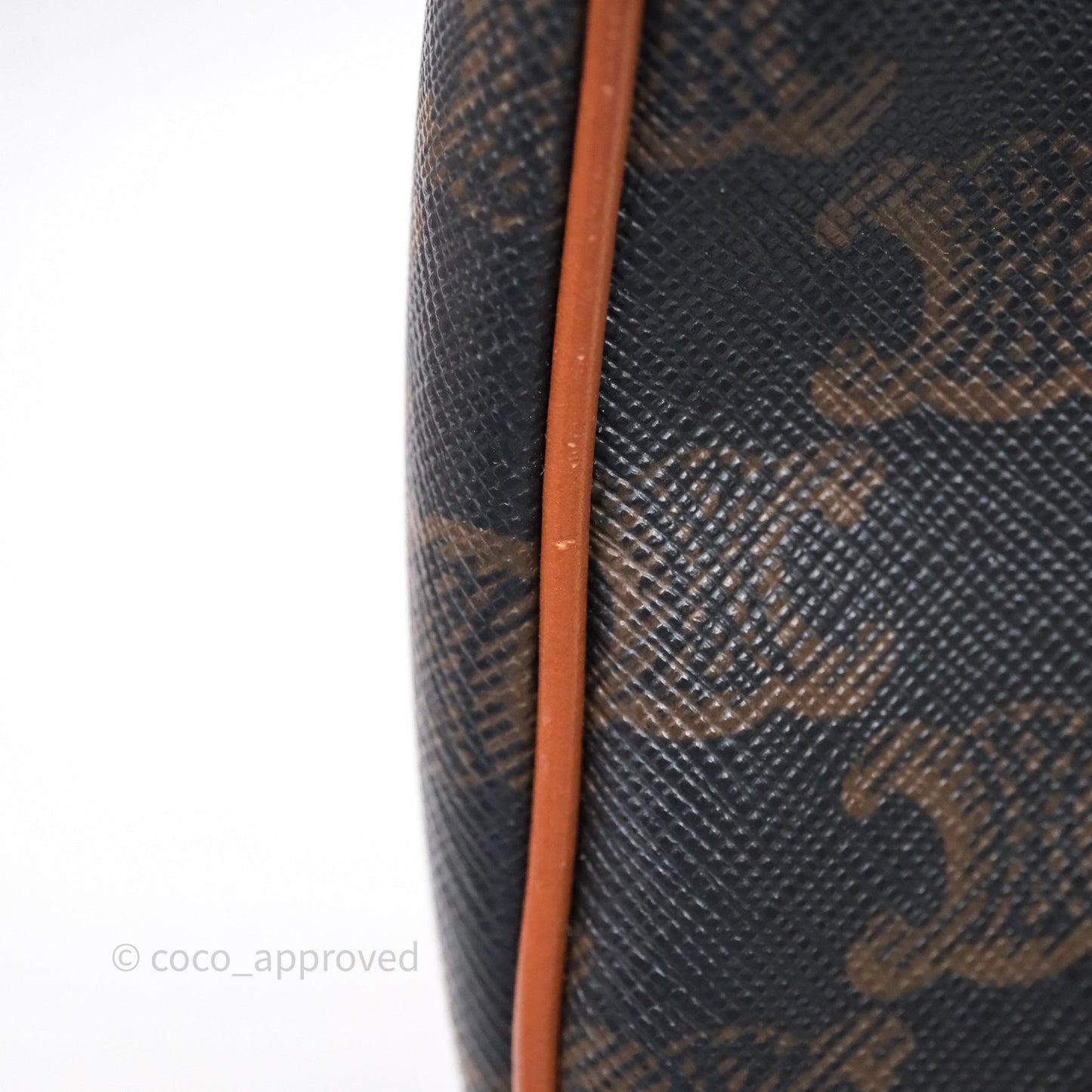 Celine Ava Bag In Triomphe Canvas Calfskin Tan