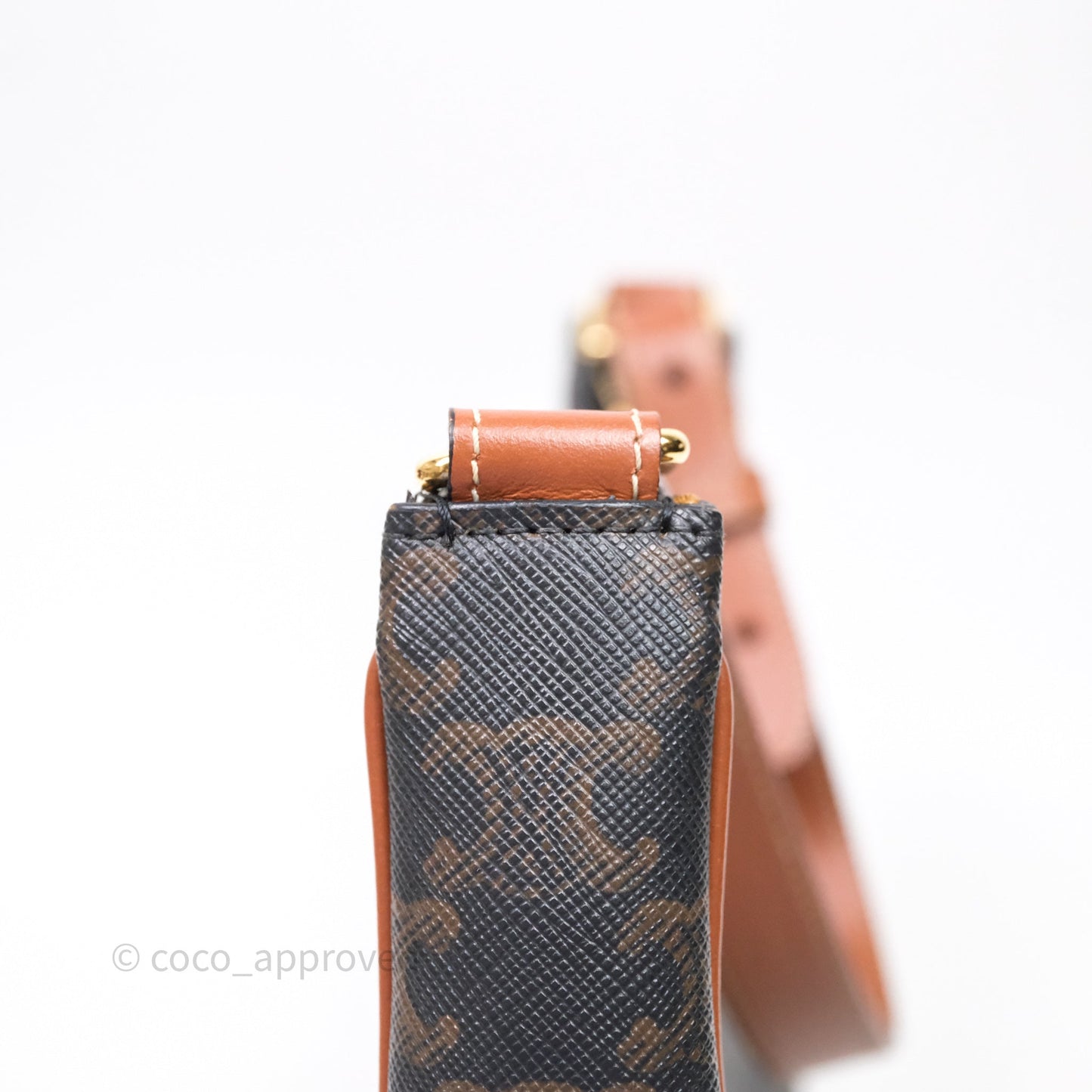 Celine Ava Bag In Triomphe Canvas Calfskin Tan