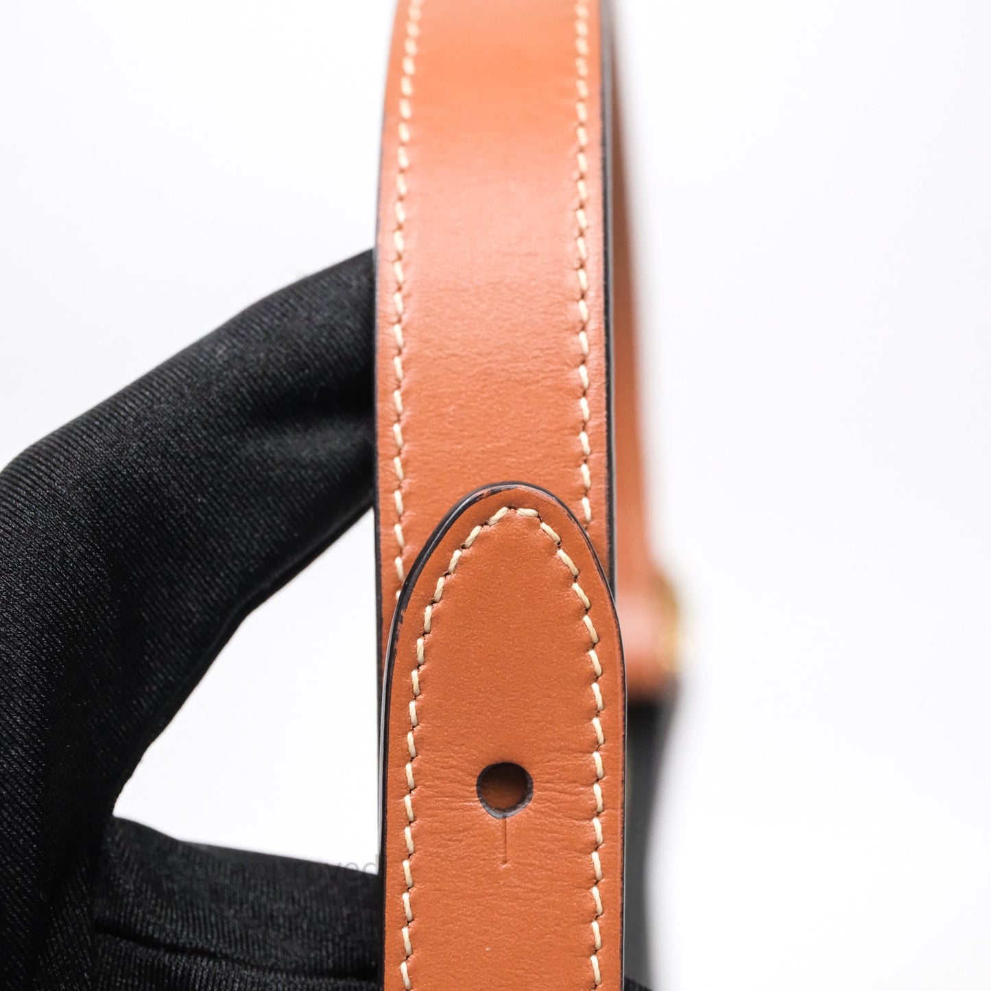 Celine Ava Bag In Triomphe Canvas Calfskin Tan