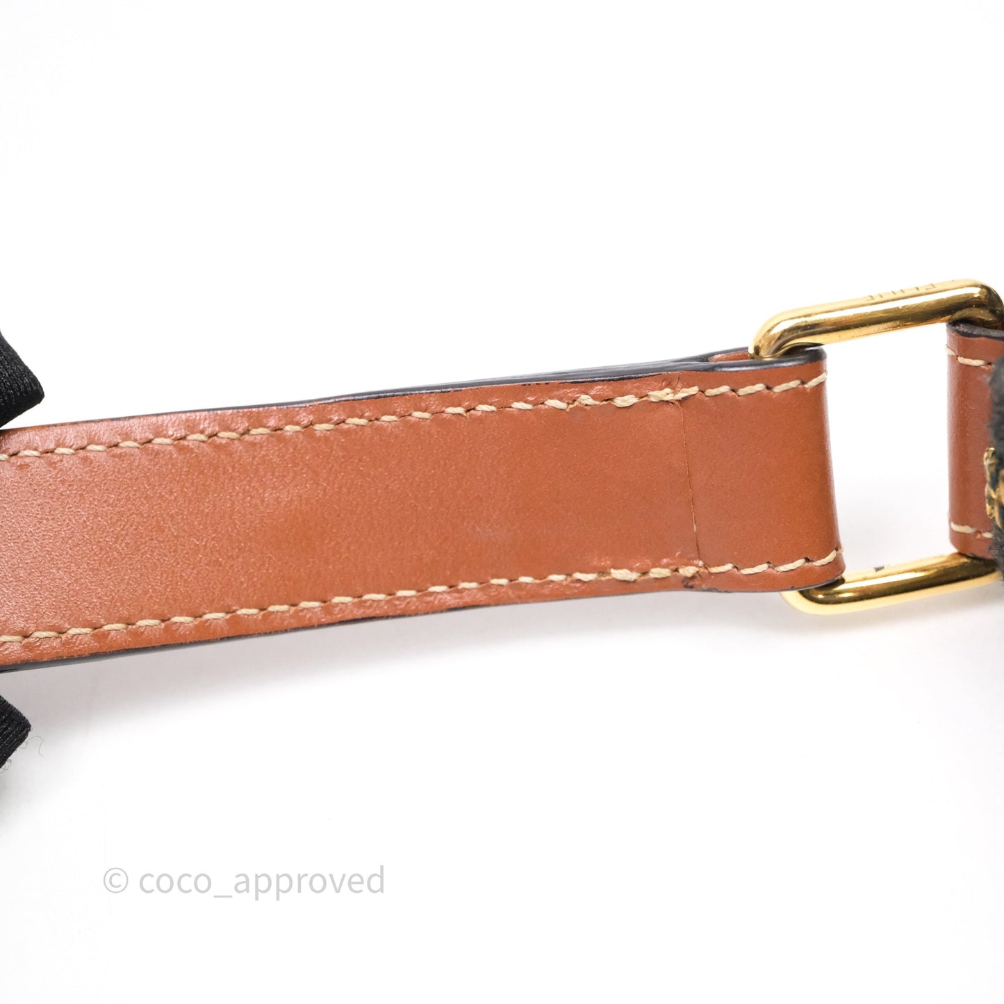 Celine Ava Bag In Triomphe Canvas Calfskin Tan