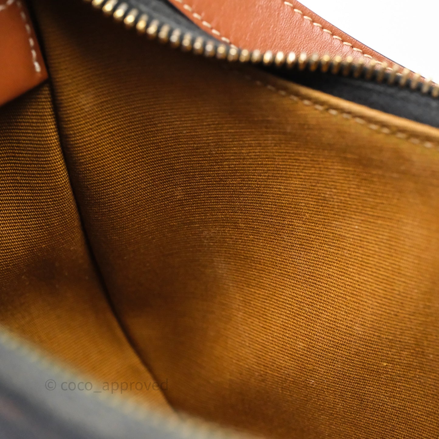 Celine Ava Bag In Triomphe Canvas Calfskin Tan