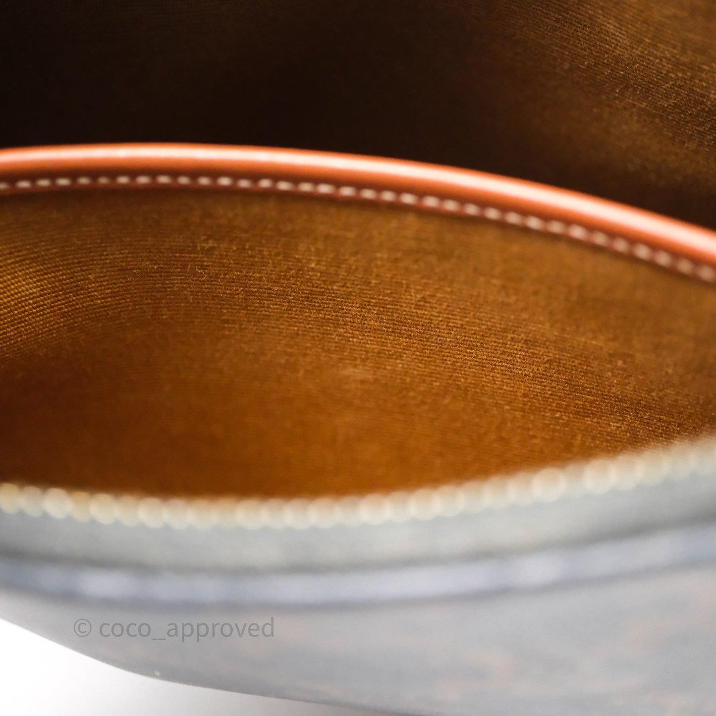Celine Ava Bag In Triomphe Canvas Calfskin Tan