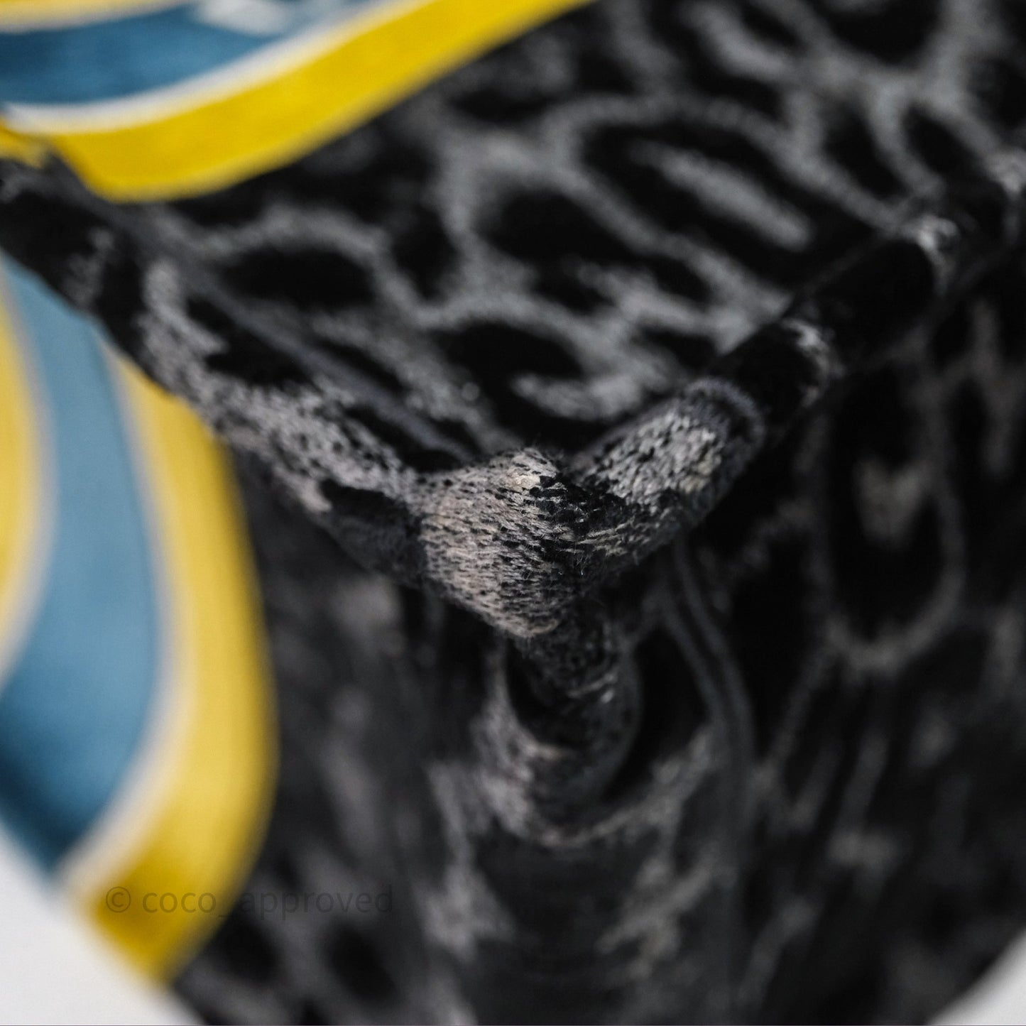 Christian Dior Christian Dior Leopard Velvet Book Tote