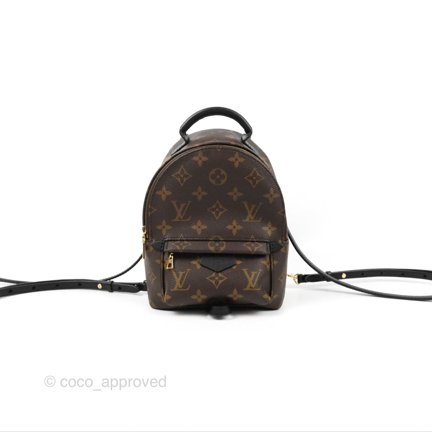 Louis Vuitton Monogram Mini Palm Springs Backpack⁣