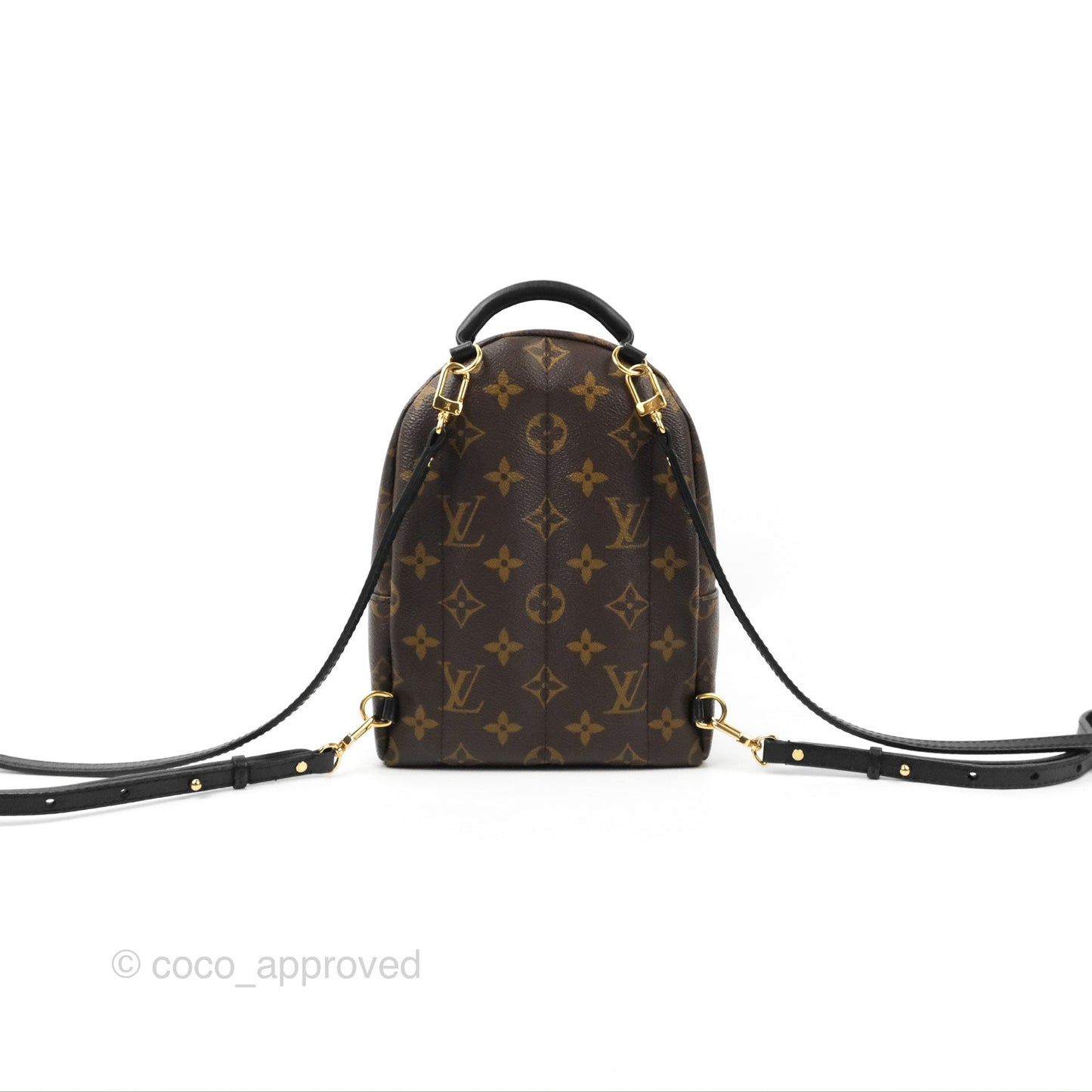 Louis Vuitton Monogram Mini Palm Springs Backpack⁣
