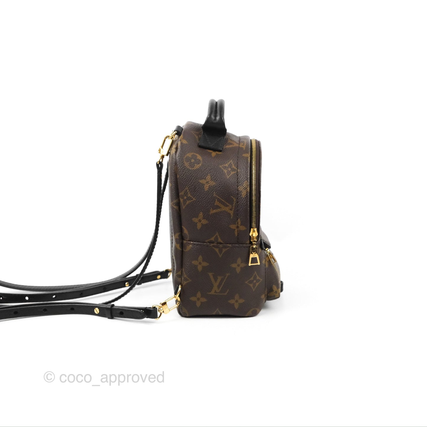 Louis Vuitton Monogram Mini Palm Springs Backpack⁣