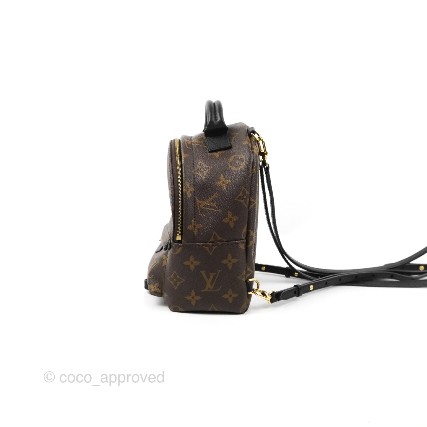 Louis Vuitton Monogram Mini Palm Springs Backpack⁣