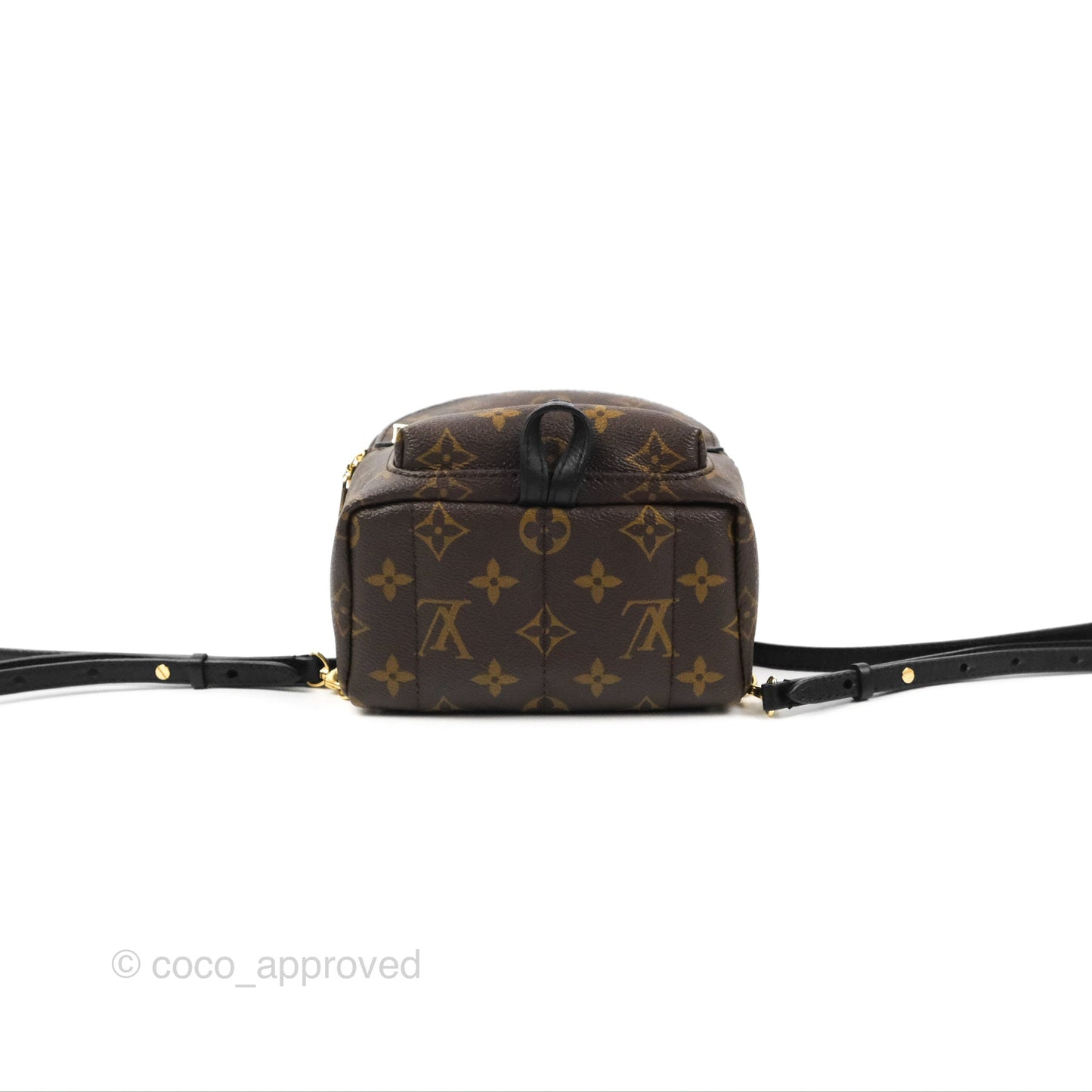 Louis Vuitton Monogram Mini Palm Springs Backpack⁣