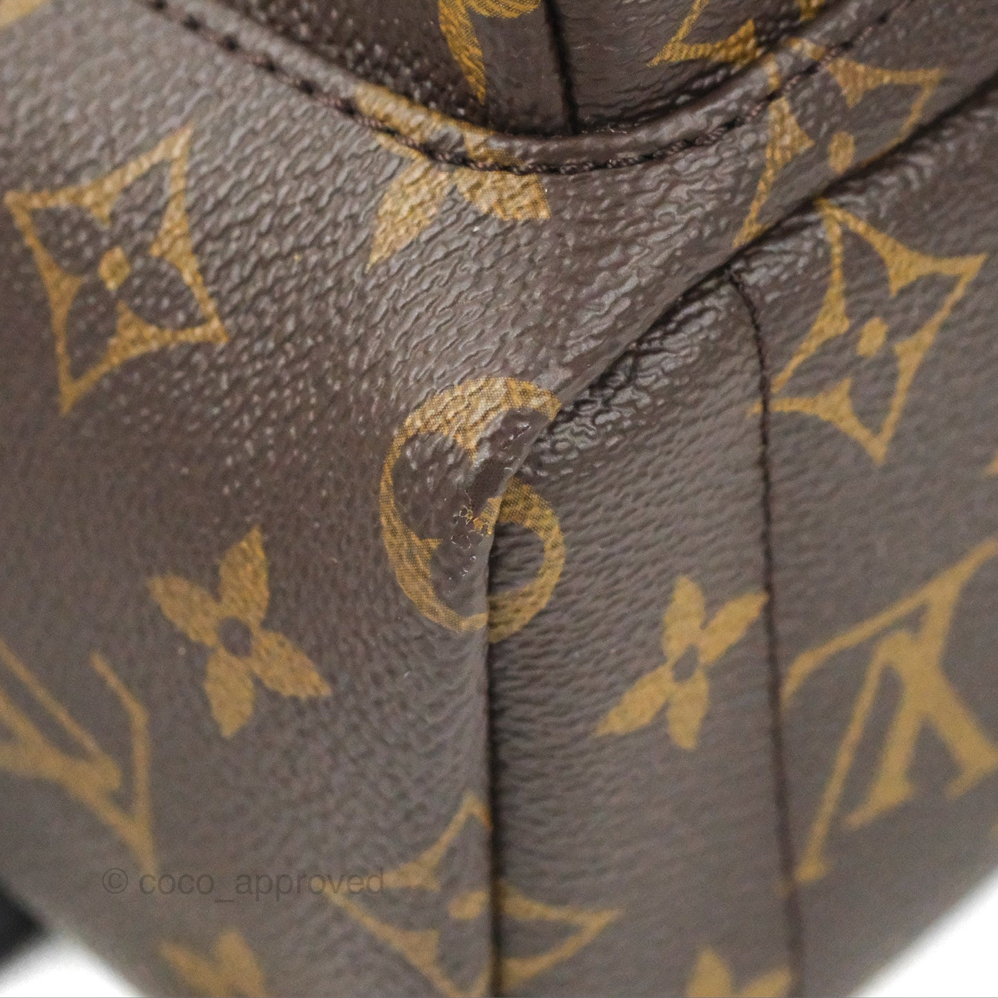 Louis Vuitton Monogram Mini Palm Springs Backpack⁣