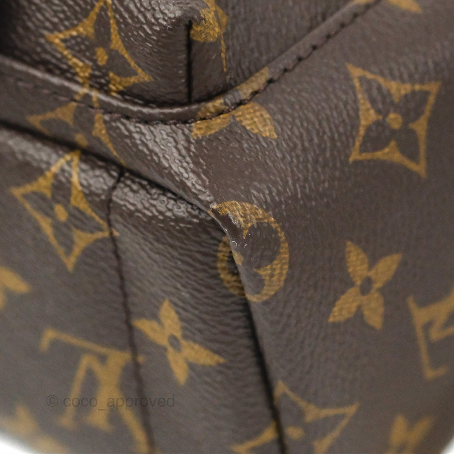 Louis Vuitton Monogram Mini Palm Springs Backpack⁣