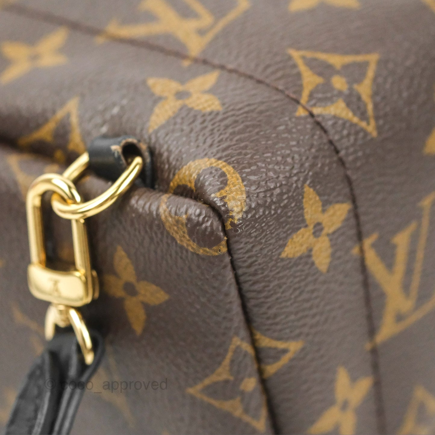 Louis Vuitton Monogram Mini Palm Springs Backpack⁣