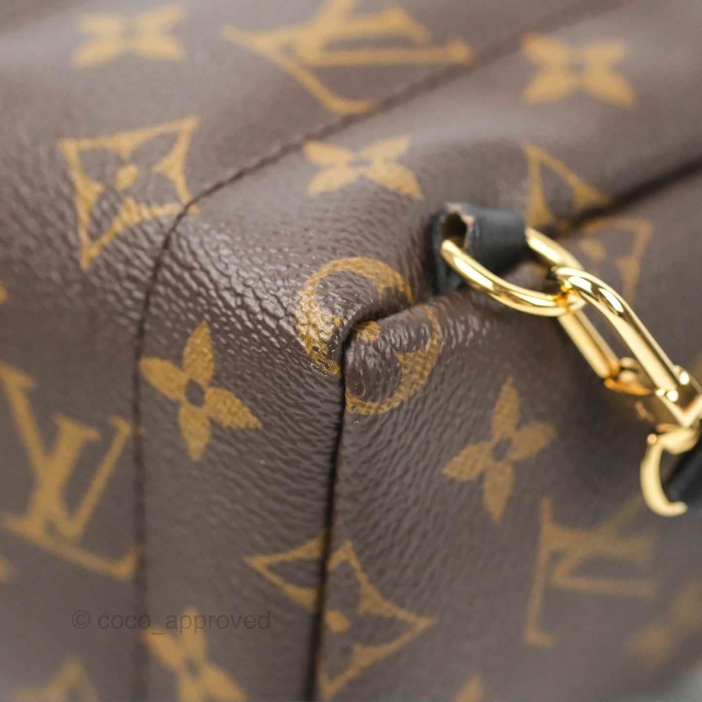 Louis Vuitton Monogram Mini Palm Springs Backpack⁣