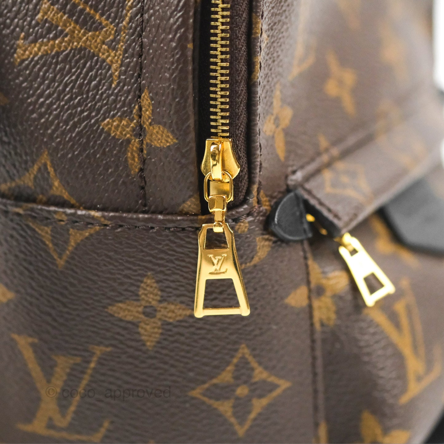 Louis Vuitton Monogram Mini Palm Springs Backpack⁣